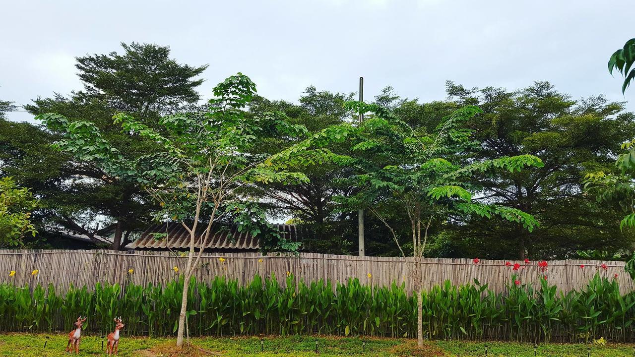 บ้านสวนมีดี ลำพูน Meedee Homestay Lamphun Ban Nong Pla Kho Eksteriør billede