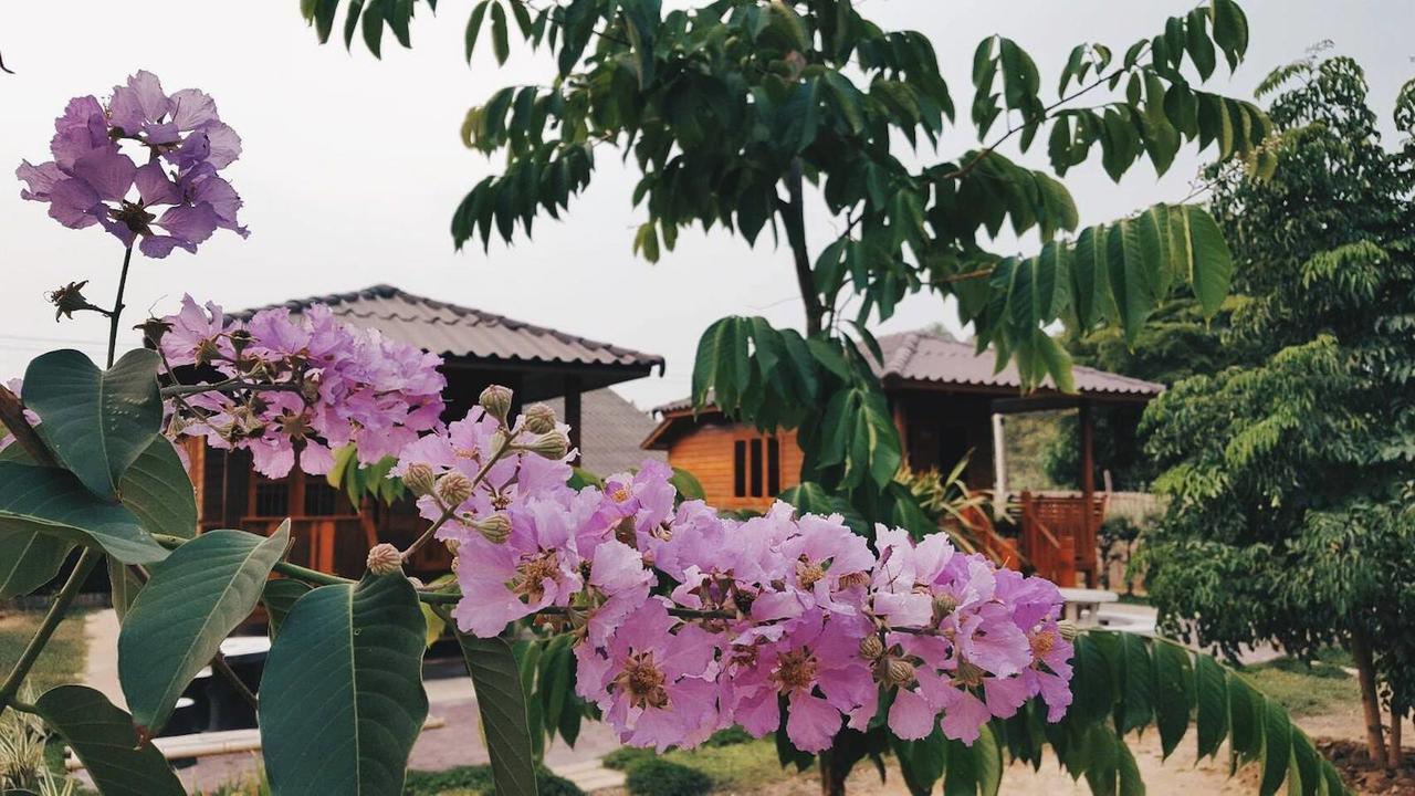 บ้านสวนมีดี ลำพูน Meedee Homestay Lamphun Ban Nong Pla Kho Eksteriør billede